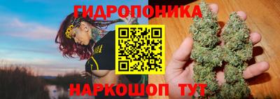 трава Комсомольск-на-Амуре