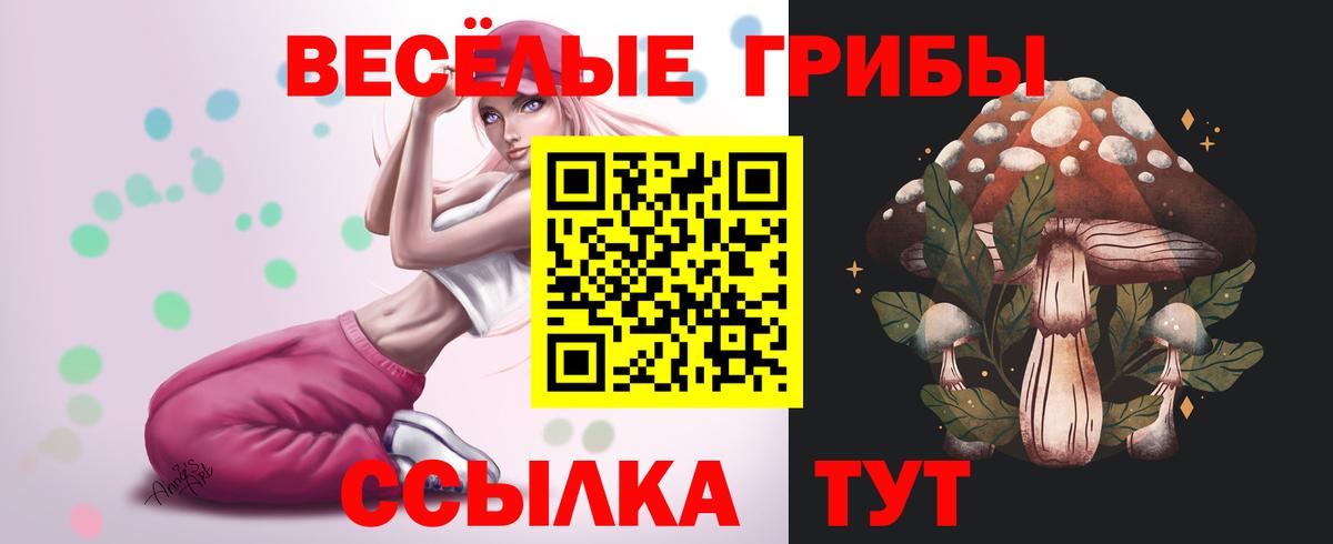 Галлюциногенные грибы мухоморы  Вход с VPN  Котлас 